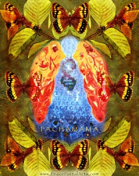 Pachumama's Prayer Flag - DNA Tapestry